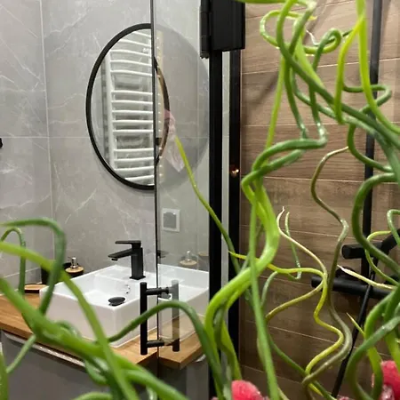 Babie Z Sauna I Jacuzzi Alpesi faház *